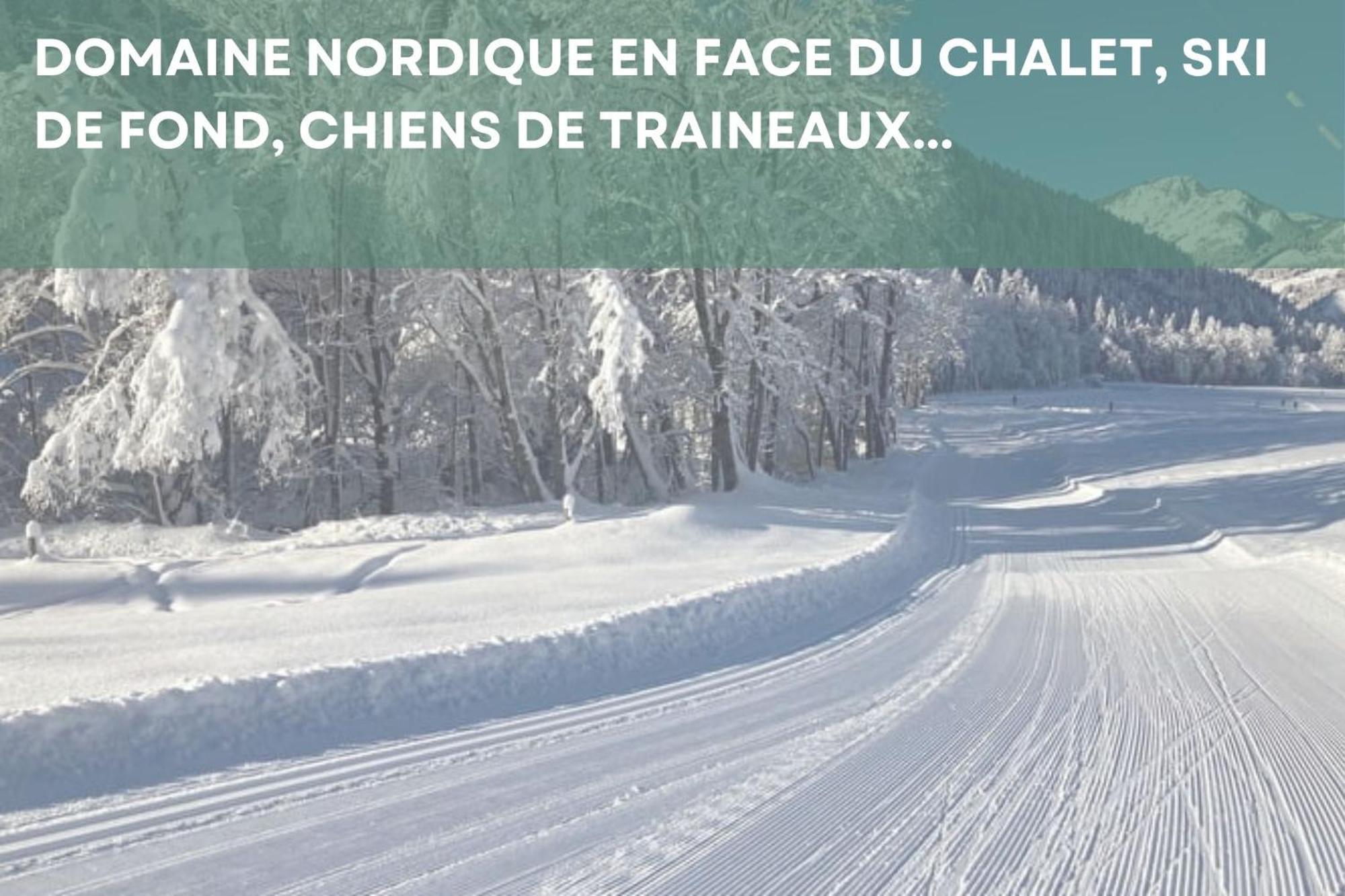 Chalet Les 4 Saisons - Ski, Parking Et Jardin La Chapelle-d'Abondance Luaran gambar